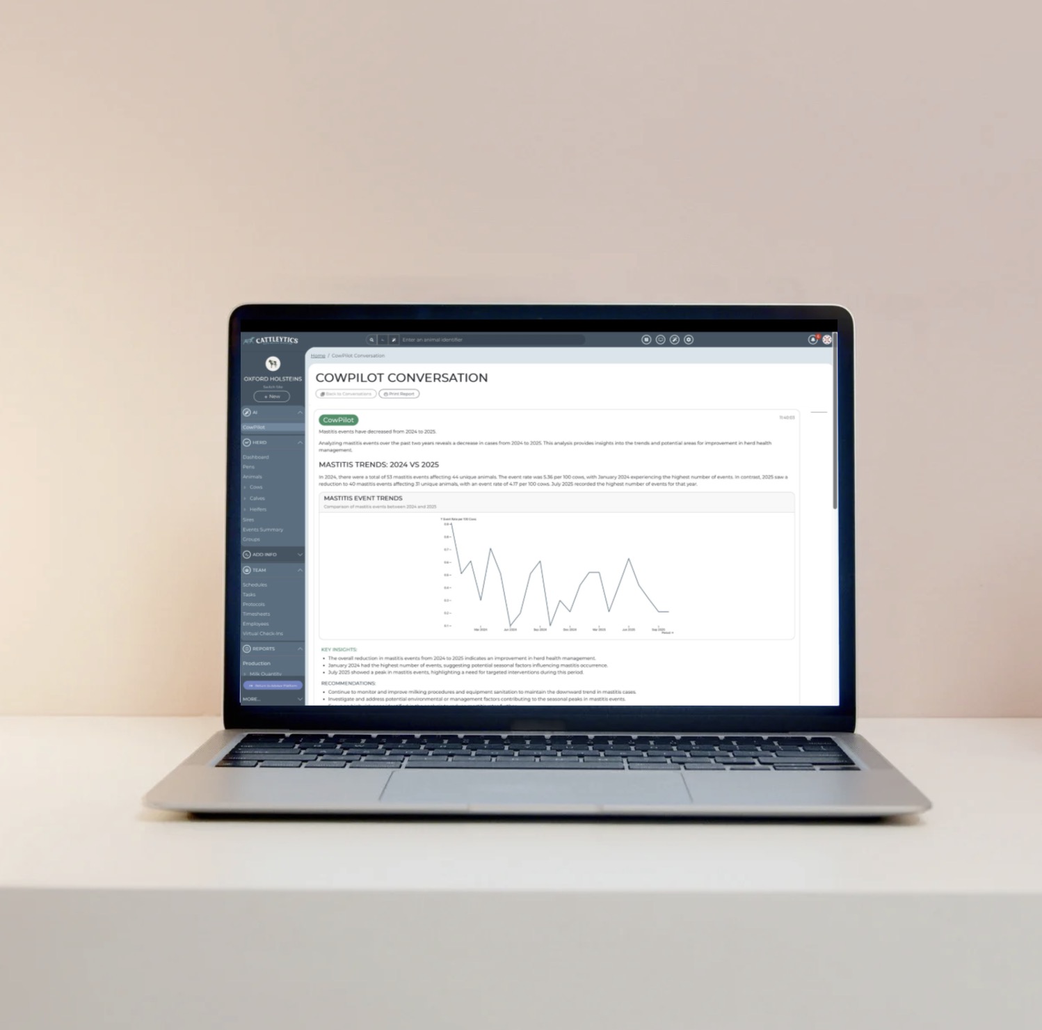 Insights & Reporting